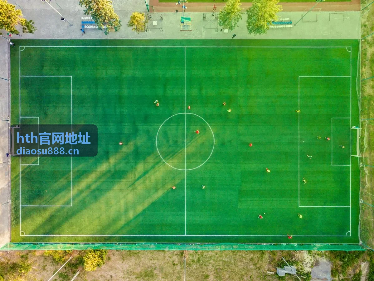 hth官网地址Android移动版本访问示意图